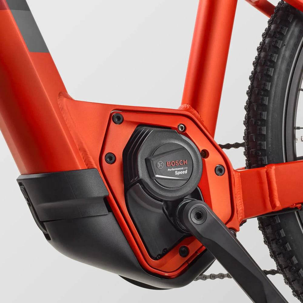 Outback Orange