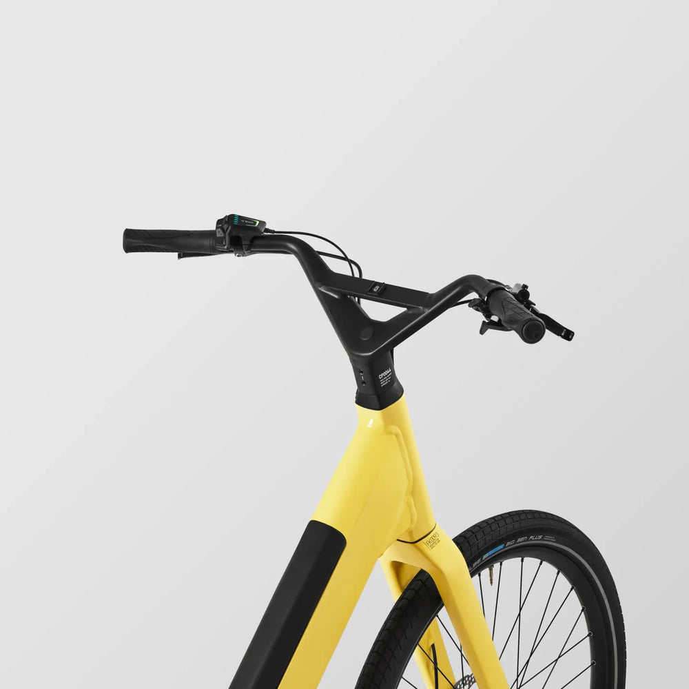Light Yellow